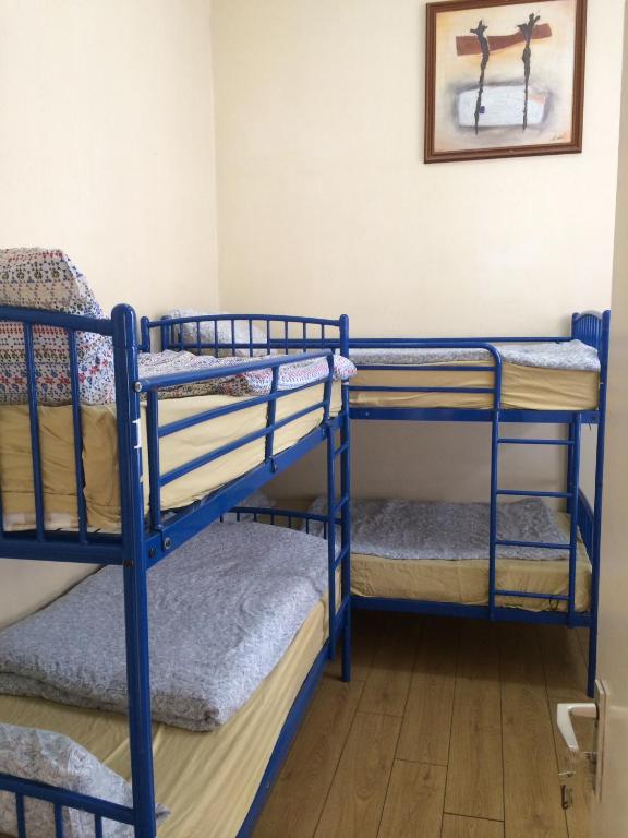 a group of bunk beds in a room at The Apache Hostel in Dublin