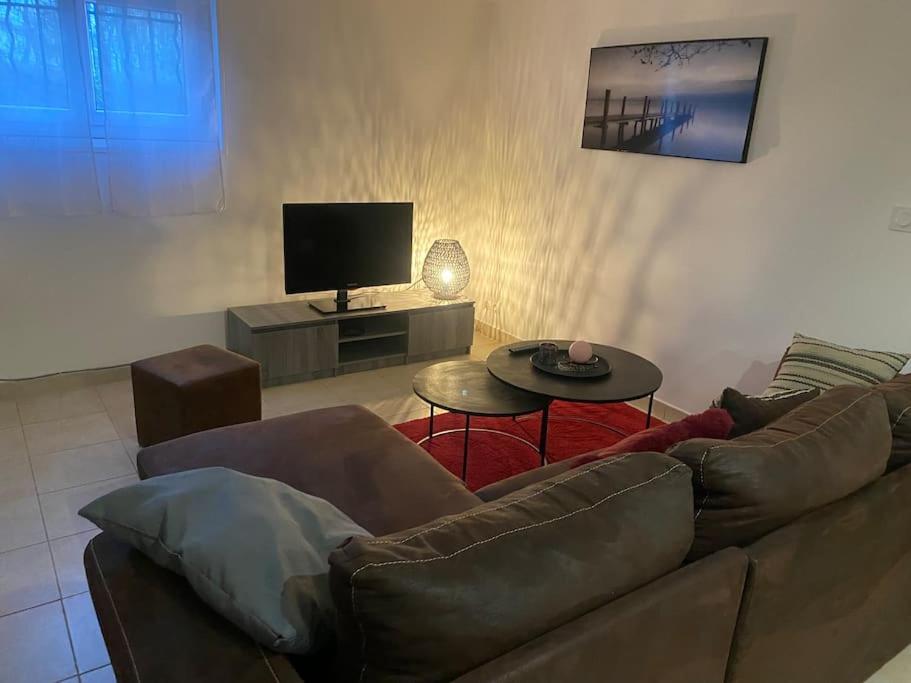 TV a/nebo společenská místnost v ubytování Gîte des Chabaudières