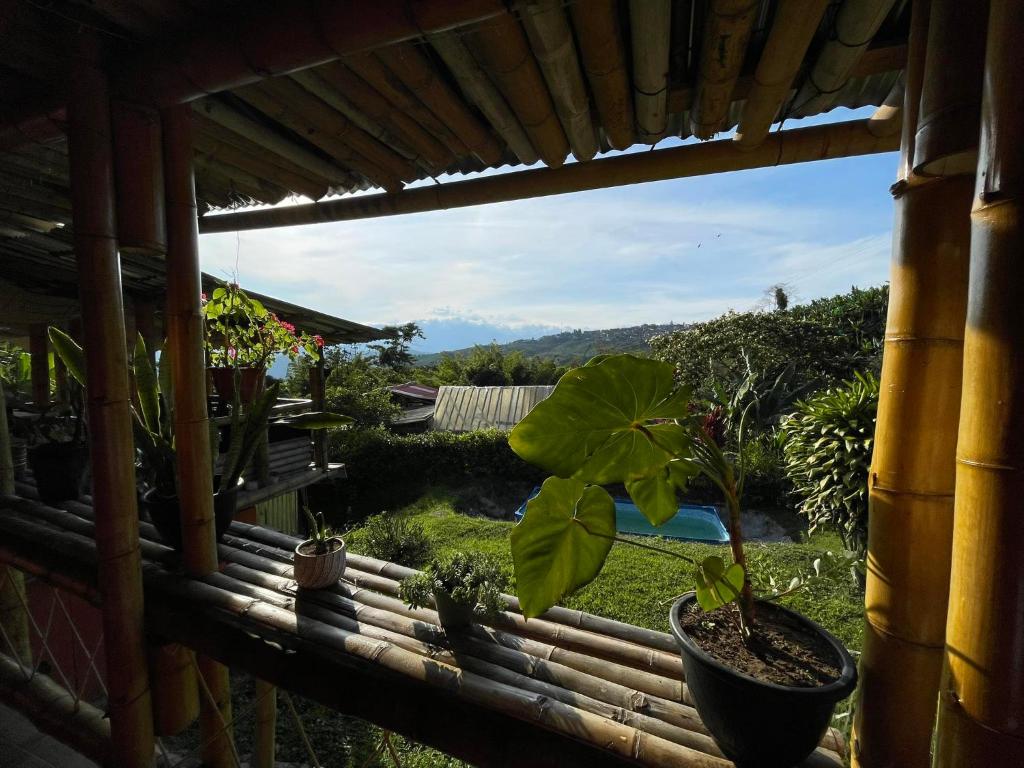 Gallery image of Vista hermosa in Anserma