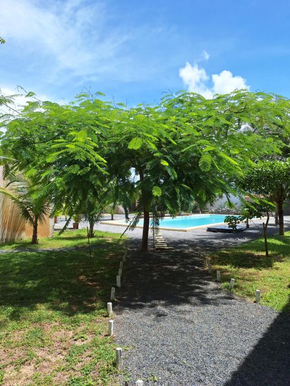 um grupo de árvores em frente a uma piscina em Pousada Casa du Soleil Camocim em Camocim