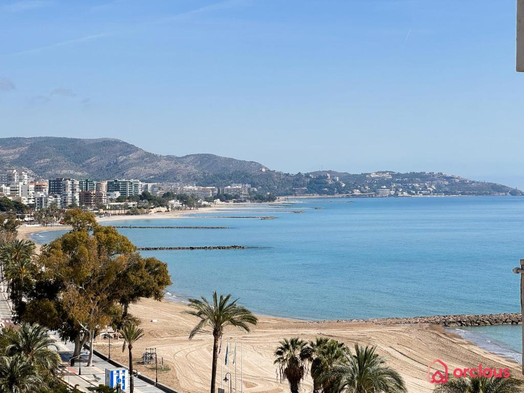 a view of a beach with palm trees and the ocean at Joya Mediterránea in Benicàssim