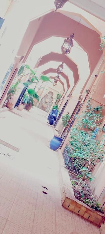 Fotografie z fotogalerie ubytování Riad DarDamia v Marrákéši