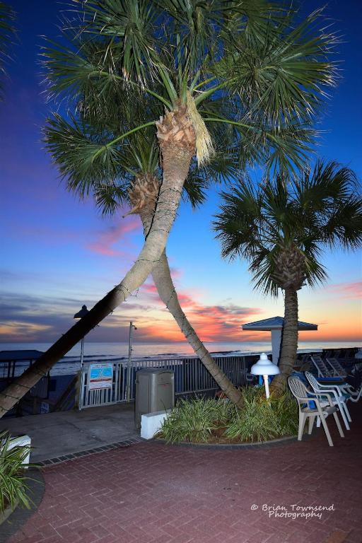 Palmetto Beachfront Hotel, a By The Sea Resort photo