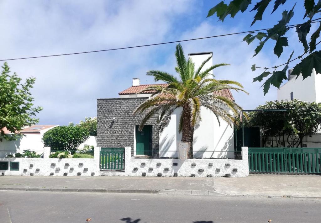 una palma di fronte a un edificio di WelcomeBuddy - Mosteiros Vineyards (Praia&Sunset) a Mosteiros