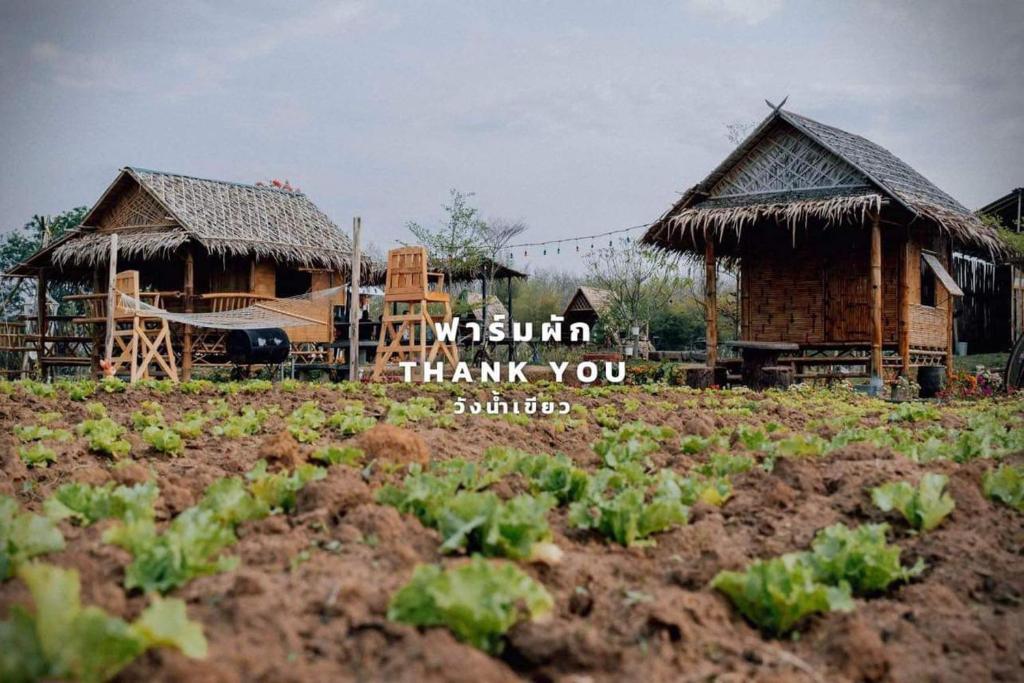 a farm with two huts and a field of plants at ฟาร์มผัก Thank you in Ban Kom