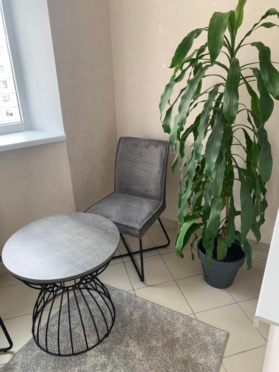 a table and a chair and a potted plant at Bedroom + Living Large Apartment 75m2 in Chişinău