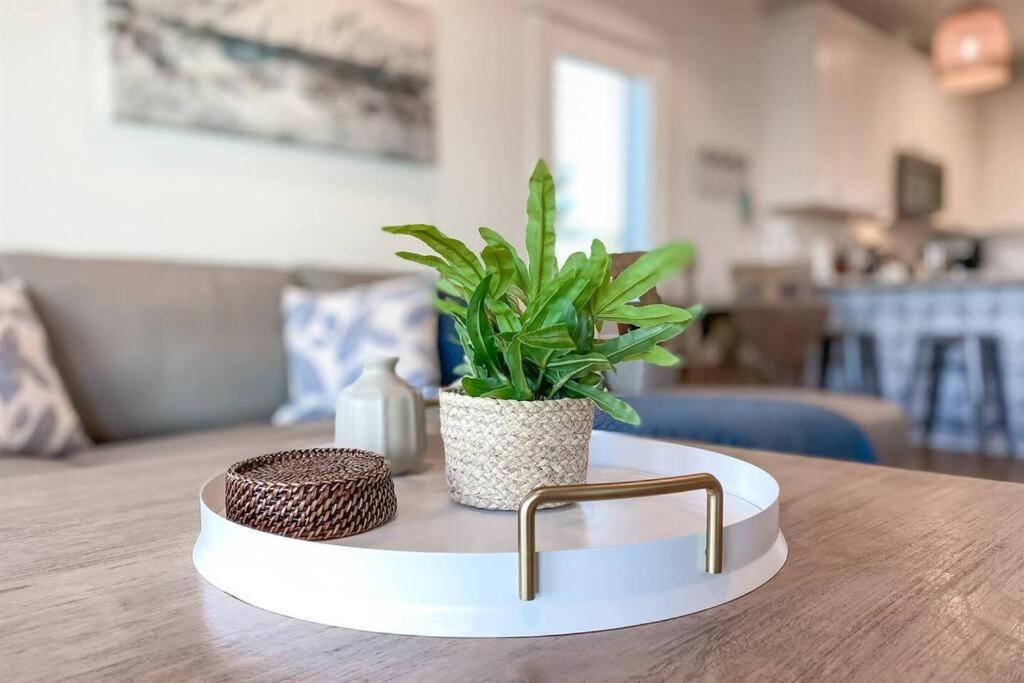 eine Pflanze auf einem Tisch im Wohnzimmer in der Unterkunft Summer at Family Bungalow w Pool! 4min Walk to Beach! in Gulf Shores