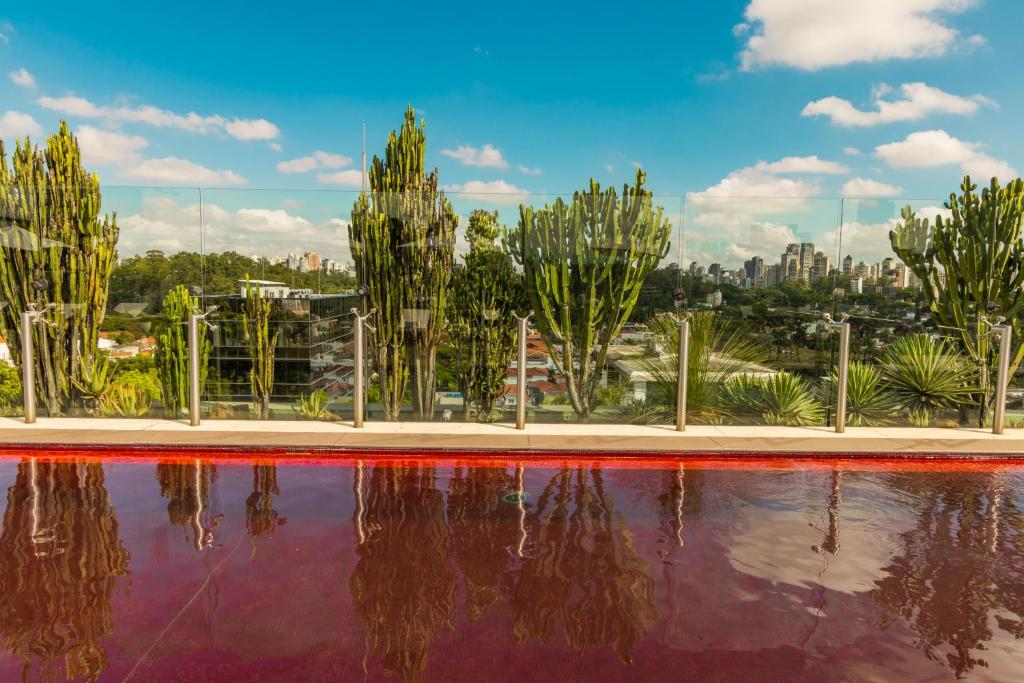 Příroda nedaleko hotelu