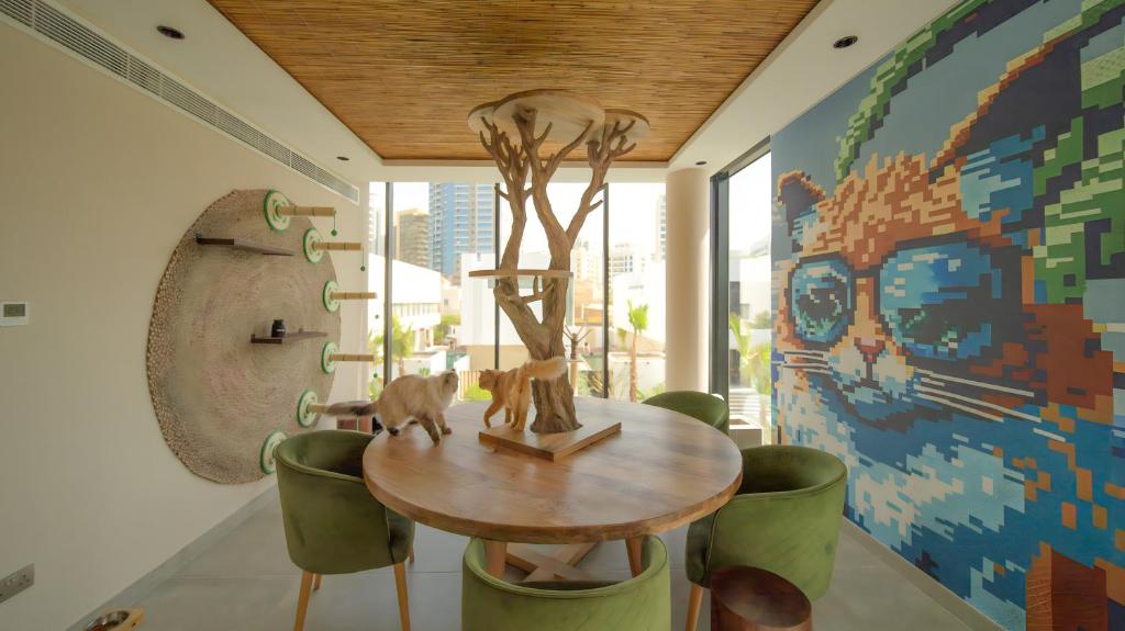 Nas House Private & Shared Villas - Resim 16