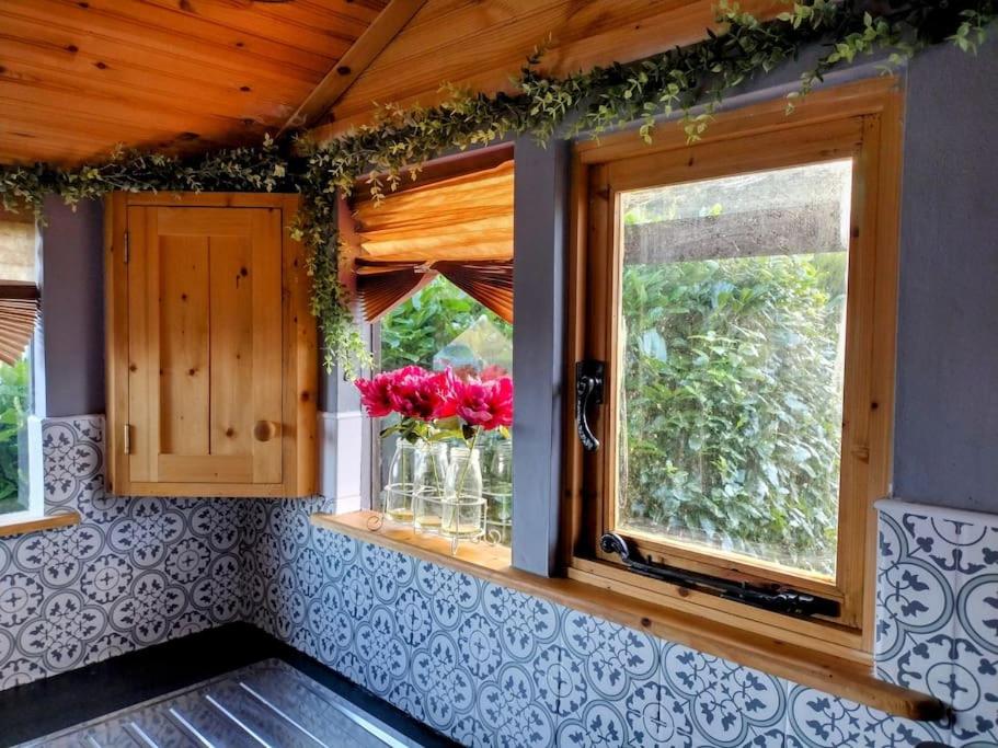 Fotografie z fotogalerie ubytování Forest View Cabin v destinaci Ballaghaderreen