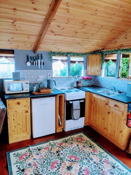 Kuchyň nebo kuchyňský kout v ubytování Forest View Cabin