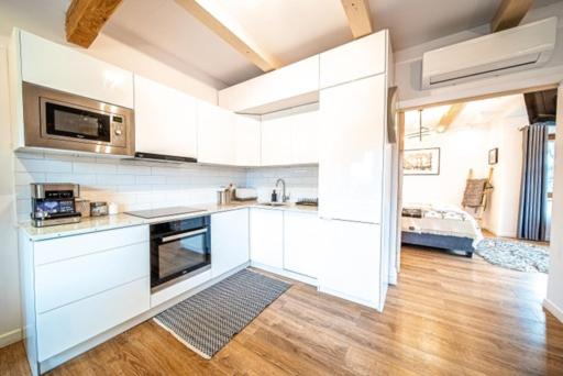 Kuchyňa alebo kuchynka v ubytovaní Apartament Kamieniec