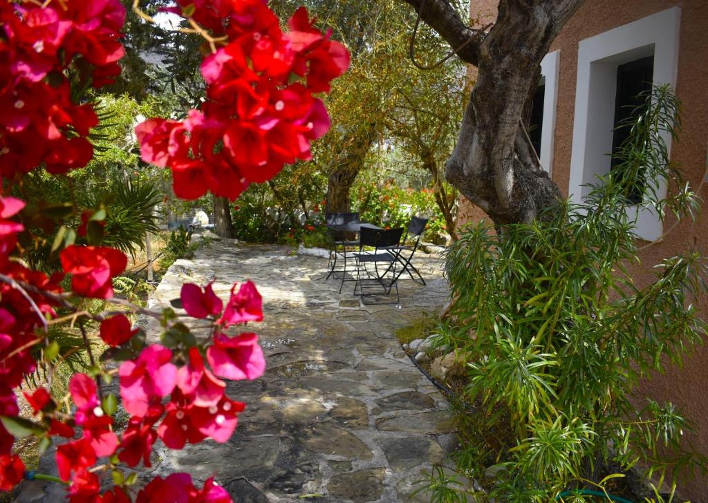 Zahrada ubytování Anemos Holiday Houses - Unterkunft in Südkreta