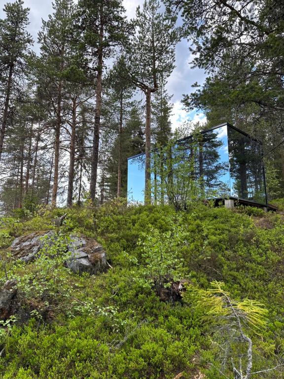 uma casa de vidro numa colina na floresta em Spegle Hyllandsfoss em Åmot