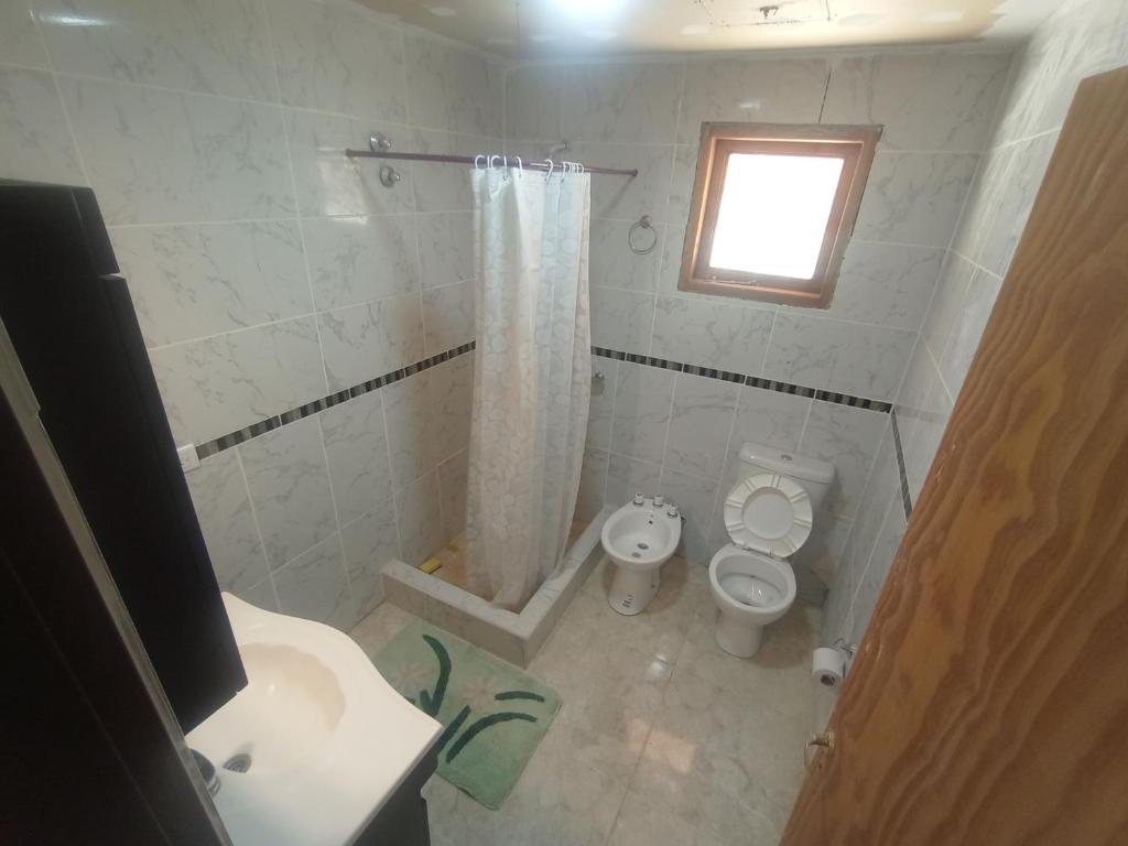 a bathroom with a toilet and a sink and a shower at Complejo La Soplada Hostel&Cabañas in Aluminé