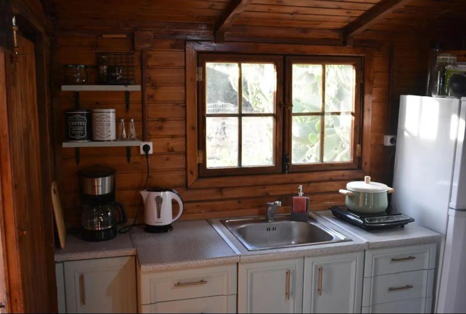 Kuchyň nebo kuchyňský kout v ubytování Anemos Holiday Houses - Unterkunft in Südkreta