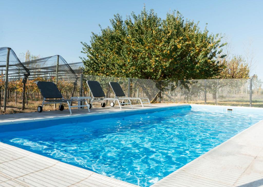 una piscina con 3 sillas, una mesa y un árbol en Posada Bonarda en San Rafael