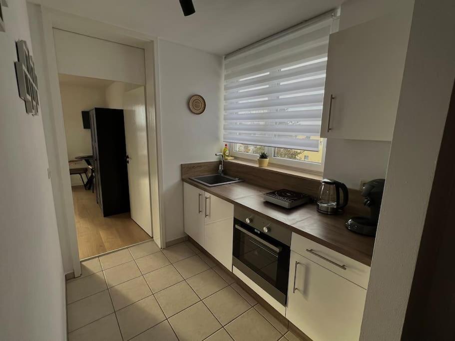 Kuchyň nebo kuchyňský kout v ubytování Penthouse Apartment in Kehl
