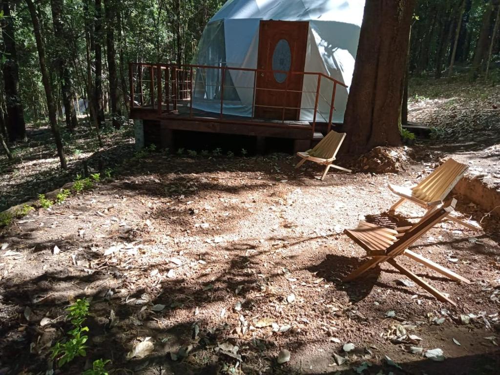 2 chaises assises devant une tente dans les bois dans l'établissement Glamping Don Delfis, à Valle de Bravo