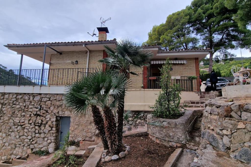 uma casa com uma palmeira em frente em casa en un parque natural em Las Villas