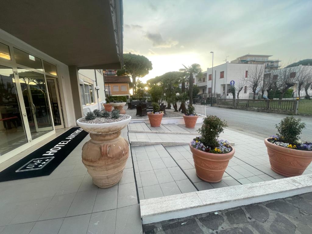 a row of large pots of plants on a sidewalk at Nuovo hotel ANTHISA in Lido di Savio