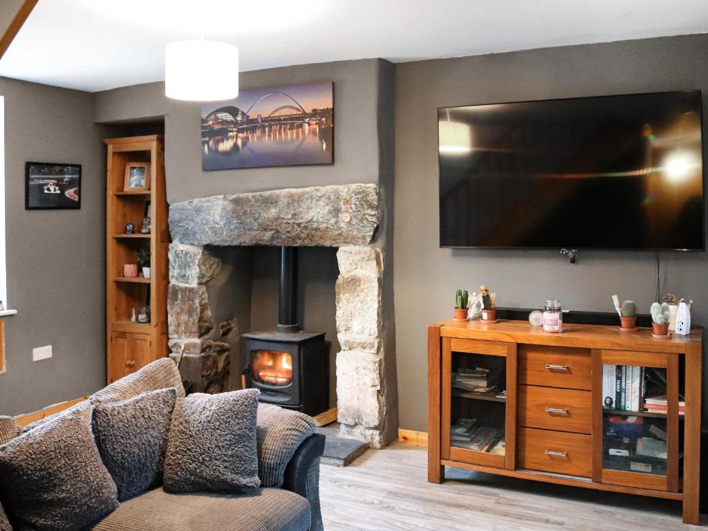 哈萊克的住宿－Ael Y Garth，客厅设有壁炉和平面电视。