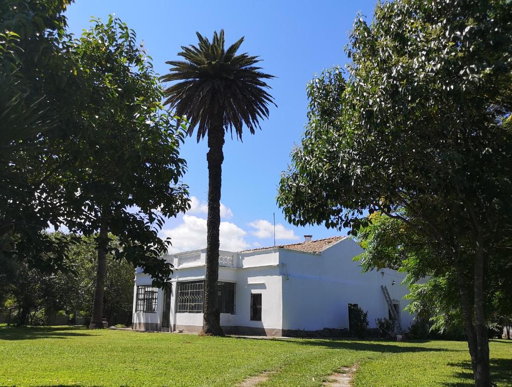 a palm tree in front of a white building at Finca San Francisco y San Javier (ex Finca los tres changos) in Salta