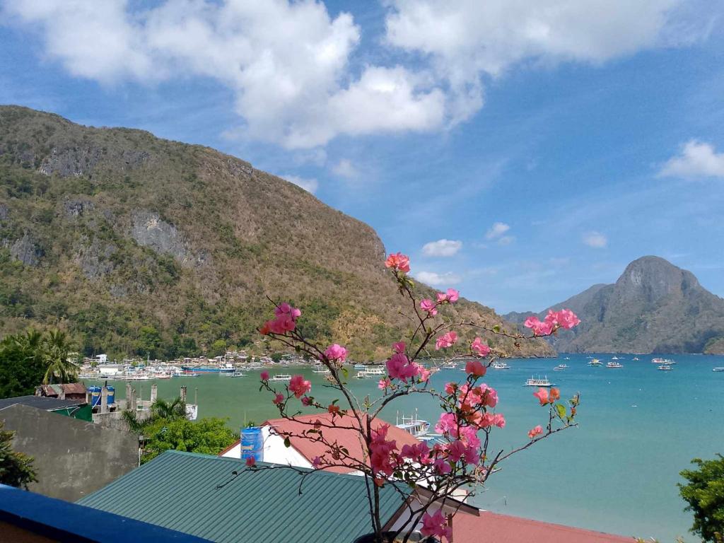 una vista de un cuerpo de agua con flores rosas en SG Hotel, en El Nido