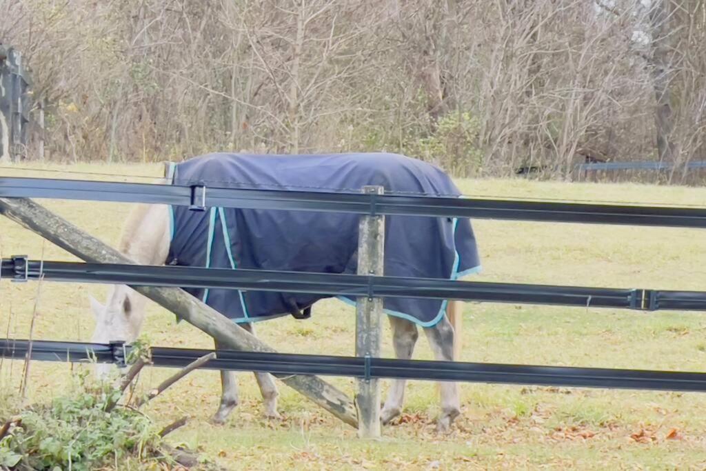 Koń w kocu stojący na polu w obiekcie Farm View & Close Lake & Steam Sauna & 10 Acres w mieście Stouffville