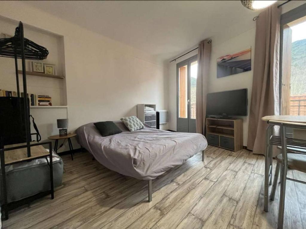 1 dormitorio con 1 cama y TV de pantalla plana en Studio Amélie-les-Bains-Palalda, 1 pièce, 2 personnes - FR-1-659-97, en Amélie-les-Bains-Palalda