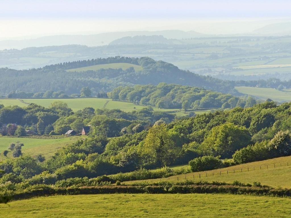 a view of a green valley with trees and hills at Studio 4 - Uk46147 in Lydbrook