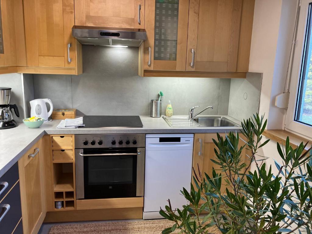 Kuchyň nebo kuchyňský kout v ubytování Ferienhaus Seeblick