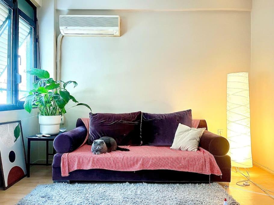 a dog laying on a couch in a living room at Cozy House in Izmir