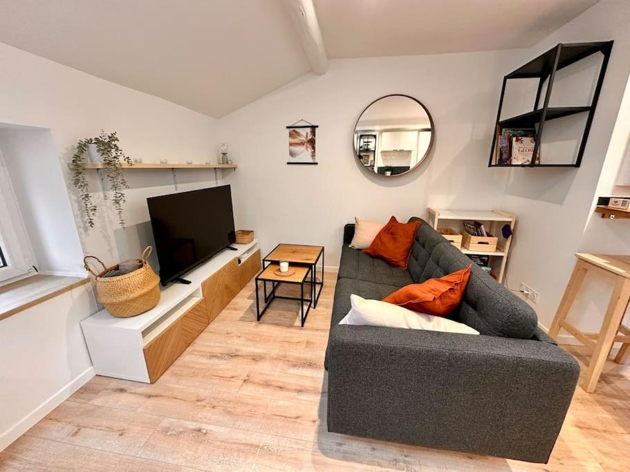 un salon avec un canapé et une télévision dans l'établissement Villefranche • Riottier T3 • La Gare, à Villefranche-sur-Saône