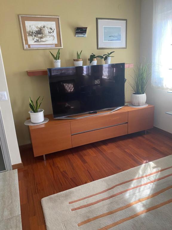 Televízia a/alebo spoločenská miestnosť v ubytovaní Apartments Luana with private jacuzzi