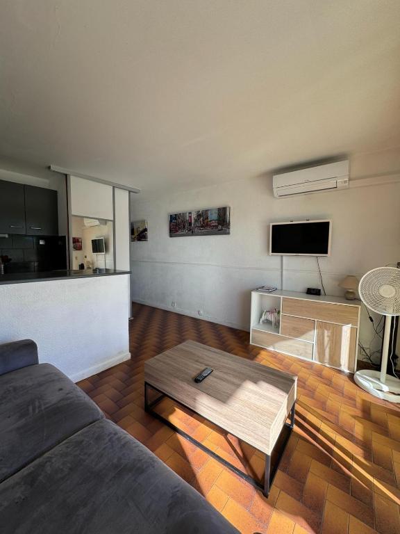 Televízia a/alebo spoločenská miestnosť v ubytovaní Beau studio climatisé face à la mer
