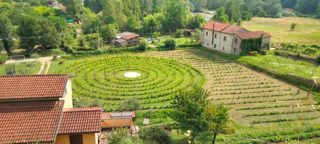 een luchtbeeld van een groot doolhof van gewassen bij agriturismo il poderetto in Licciana Nardi