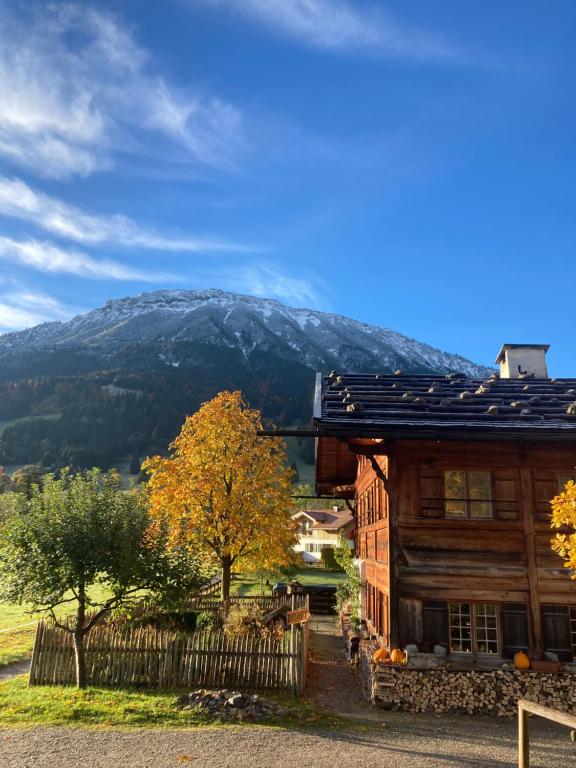 a wooden house with a mountain in the background at ApartmentMICRO in Pfronten