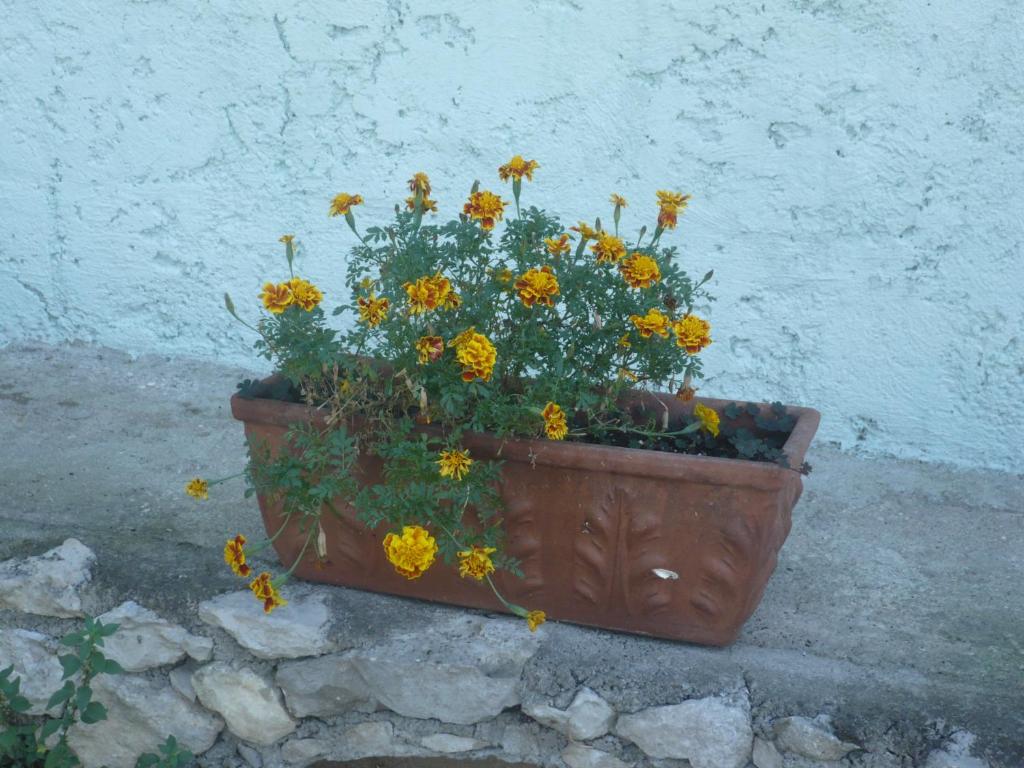 Fotografie z fotogalerie ubytování Appartamento Michela v destinaci Brenzone sul Garda