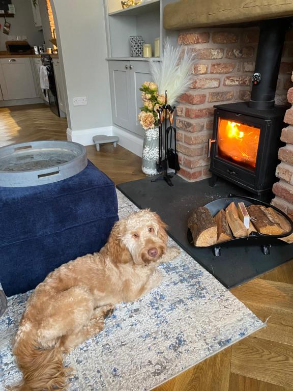a dog laying on a rug in a living room with a fireplace at Harbour Heights Whitby in Whitby