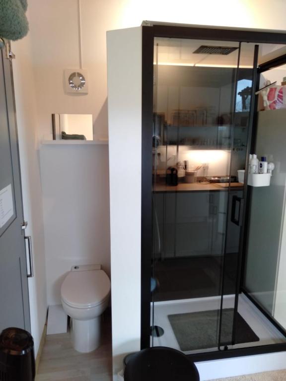 a bathroom with a shower and a toilet at The Lodge in Bilzen