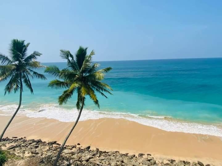 zwei Palmen am Strand in der Nähe des Ozeans in der Unterkunft Sevenra Grand Beach Hotel in Ambalangoda