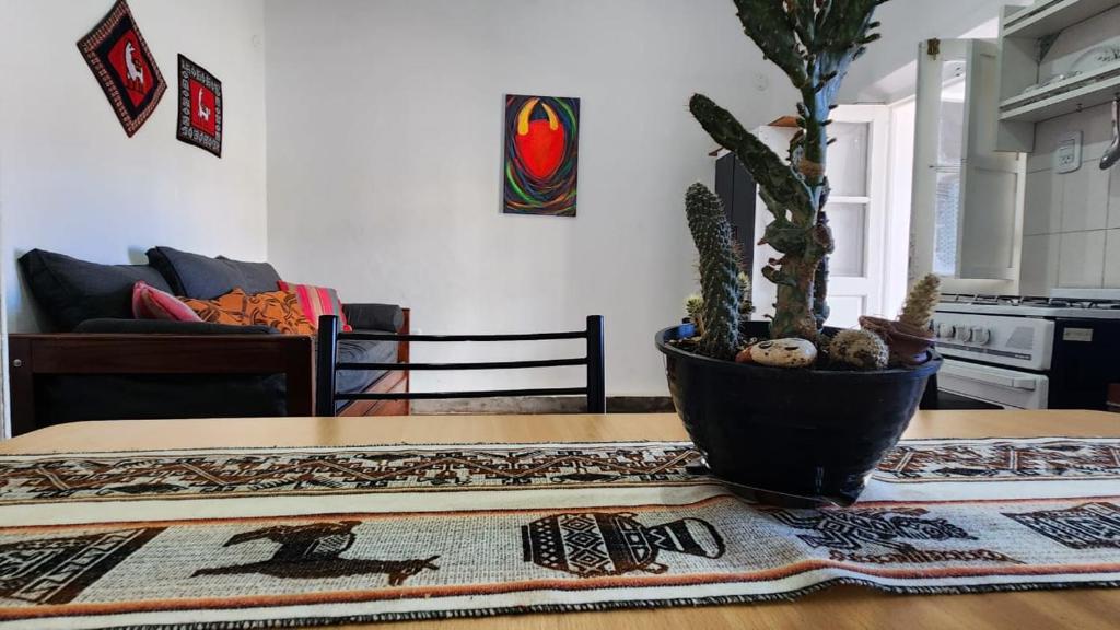 une plante en pot assise sur une table dans l'établissement Casa de Barro Tilcara, à Tilcara