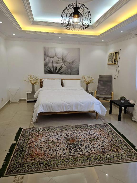 Murshidīyahにあるشقة هادئة بمساحة كبيرة بحي التنعيم بمكة المكرمة غرفة نوم واحدة فقطのベッドルーム1室(大型ベッド1台、ラグ付)