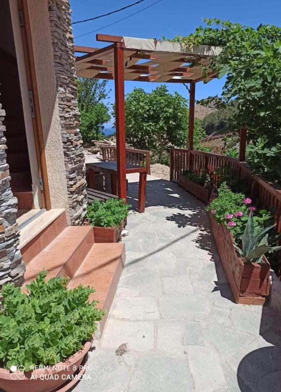 Zahrada ubytování Guesthouse Axieros