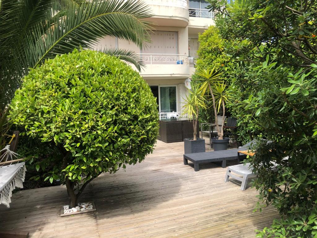 un jardin avec une grande brousse et des bancs ainsi qu'un bâtiment dans l'établissement Only 60m to the beach, 2 bedroom cozy apartment, 80m2 big garden, very central, à Cannes