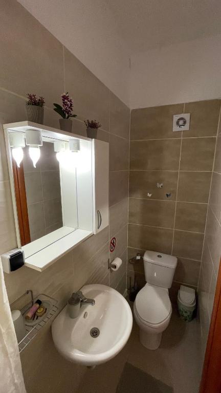 Koupelna v ubytování Olympiades Rooms Litóchoro