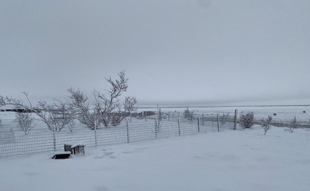 Ugla Gistihús (Ugla Guesthouse) að vetri til