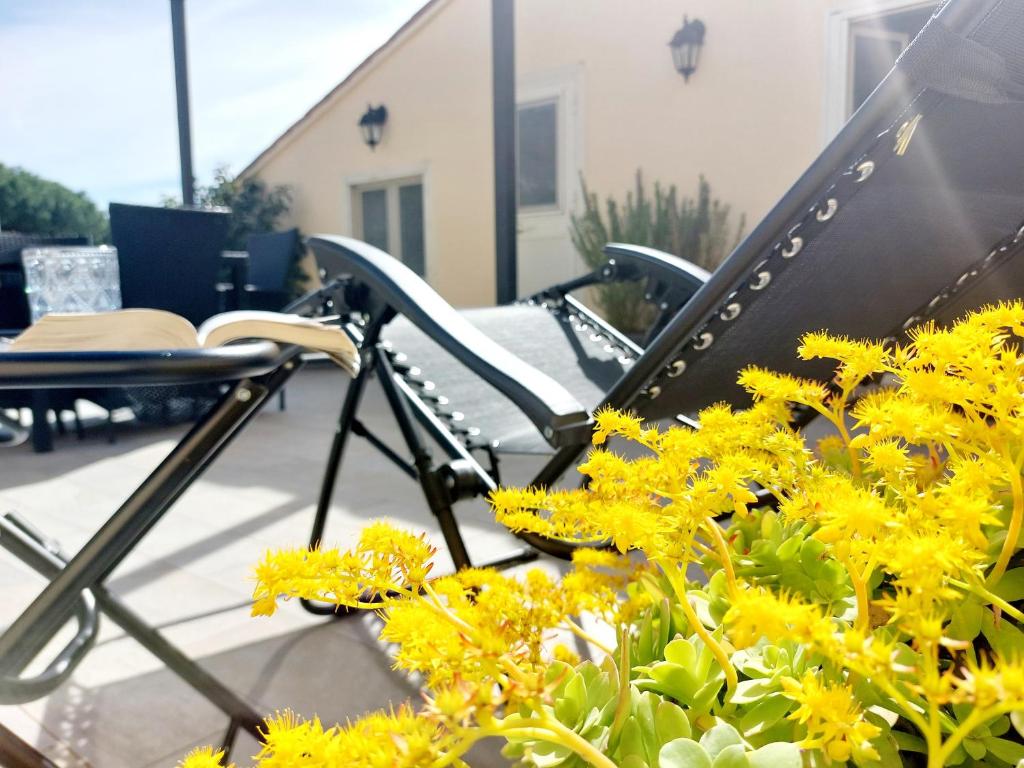 Kép Circo Massimo Apartment & Terrace szállásáról Rómában a galériában