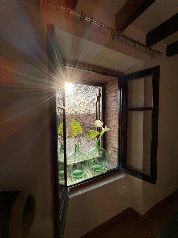 a window in a room with a plant in it at El Gerbal in Villahoz